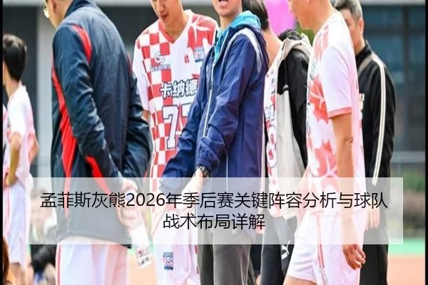 孟菲斯灰熊2026年季后赛关键阵容分析与球队战术布局详解