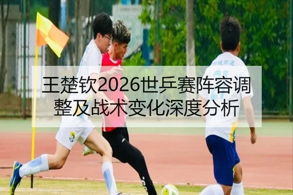 王楚钦2026世乒赛阵容调整及战术变化深度分析