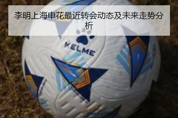 李明上海申花最近转会动态及未来走势分析