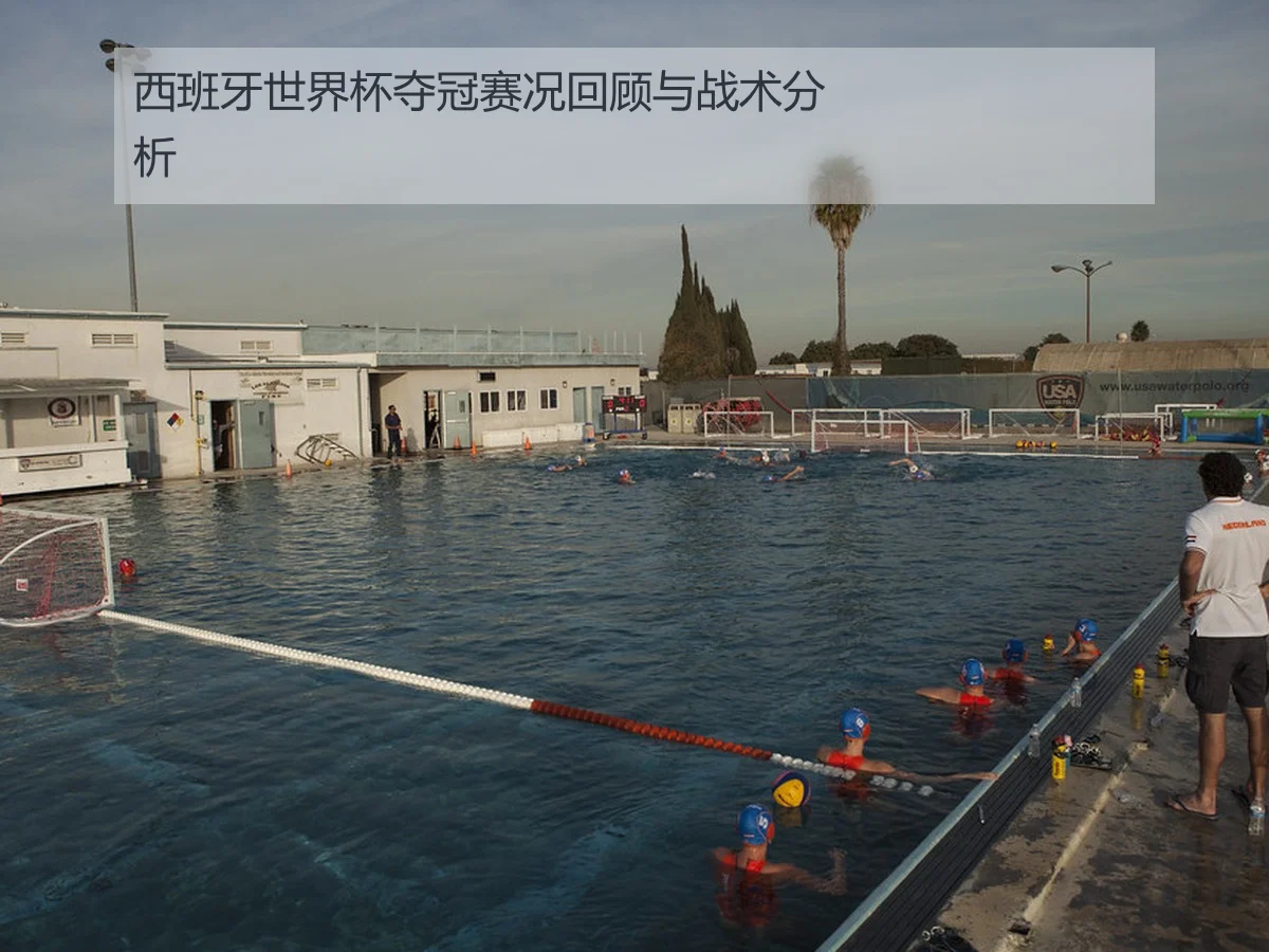 西班牙世界杯夺冠赛况回顾与战术分析